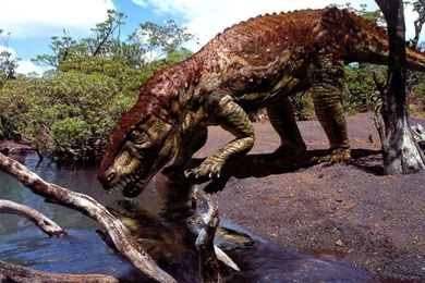 Dinosaur New HD Wallpapers 2013