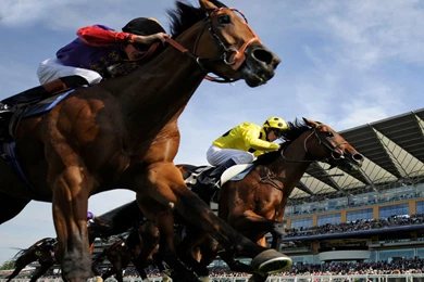 Horse Racing Desktop Wallpaper, Horse Racing Images, New Wallpapers