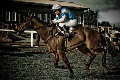 17 Outstanding Cool Horse Racing Ultra Fabulous HD Wallpapers 482 ...