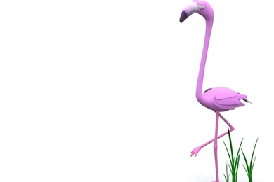 Funny Cartoon Animals,funny Animations,funny Animal Wallpapers ...