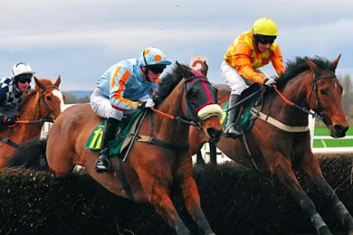 Horse Racing Wallpapers   Wallpapers Cave