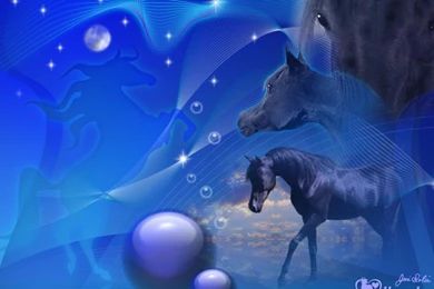 Backgrounds For My Computer   Wallpapers Cave