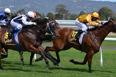 Horses Racing Jockey Uhd Wallpapers   Ultra High Definition ...