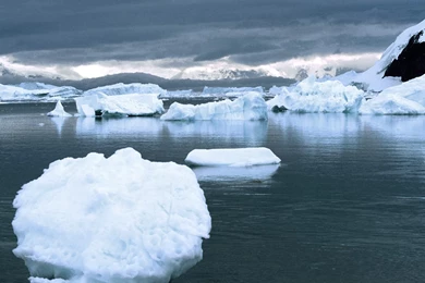 HD Wallpapers   Arctic Wallpapers   Free High definition Desktop ...