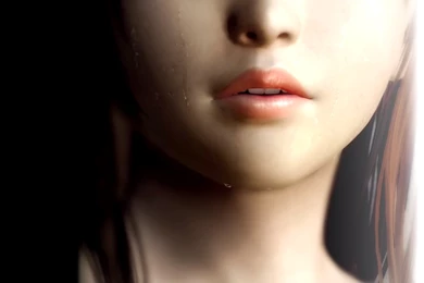 Dead Or Alive 5: Last Round HD Wallpapers   HDwallpaper4U.com