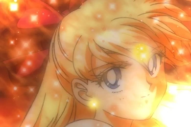 Sailor Venus   Sailor Moon Wallpapers (25381024)   Fanpop