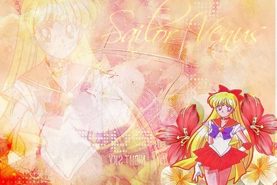 Wallpapers Sailor Venus By XSailorGinusx On DeviantArt
