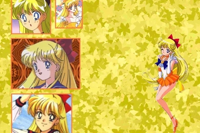 Sailor Venus   Sailor Moon Wallpapers (23588461)   Fanpop