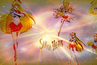 Sailor Venus Wallpapers By BrandiSwick227 On DeviantArt