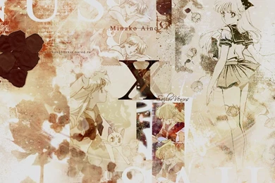 Minako / Sailor Venus   Sailor Senshi Wallpapers (6328739)   Fanpop