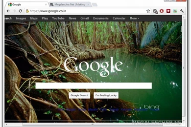 How To Automatically Rotate Bing, Picasa Or Flickr Featured Images ...