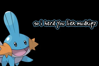 Mudkip Pokemon Black Backgrounds Wallpapers   (