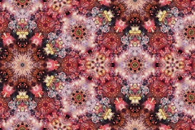 Marcel Wanders   Moooi Carpets