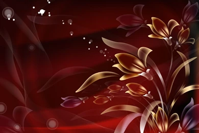 Vector Graphics Wallpapers   1920x1200   261490