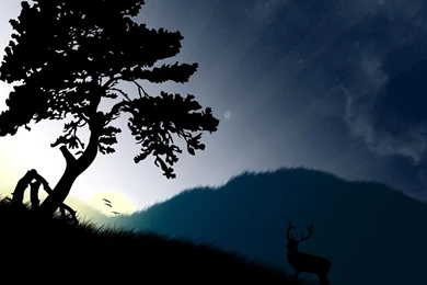 Wallpapers Vector Graphics Image