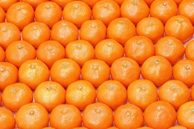 Orange Food Fruit Wallpapers   (