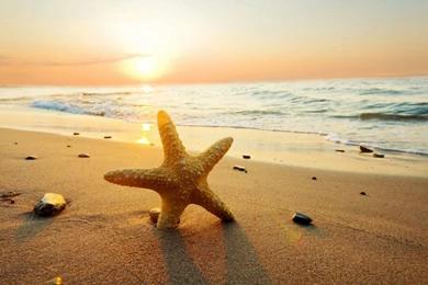 Beautiful Beach Sunset.jpg