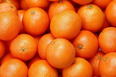 Orange Fruit Wallpapers