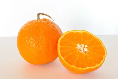 Free Wallpapers Download: Orange Fruit Wallpapers