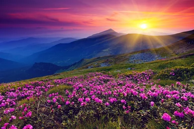 Nature Wallpapers Of Beautiful Scenery & Landscape Wallpapers