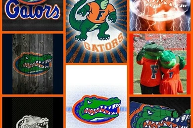 Florida Gators Wallpaper, Mobile Wallpapers Uf