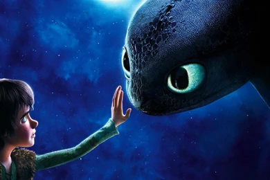 Hiccup And Night Fury   How To Train Your Dragon Hi Widescreen ...