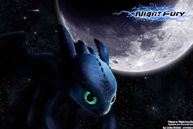 Night Fury Wallpapers   Wallpapers Cave