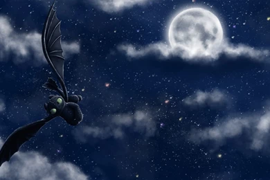 Night Fury Wallpapers   Wallpapers Cave