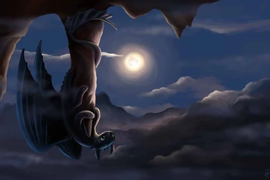 How To Train Your Dragon Night Fury Artwork Wallpapers