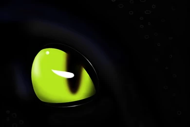 Eye Of The Night Fury By LaDeary On DeviantArt