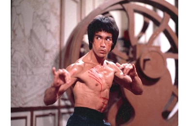 All Wallpapers: Bruce Lee Hd Wallpapers