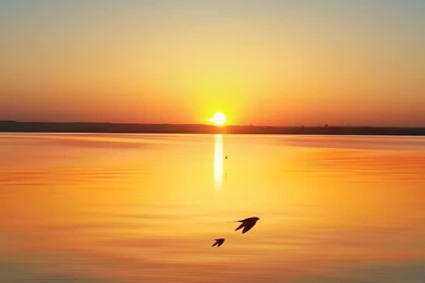 Download IOS 7 Parallax Wallpapers