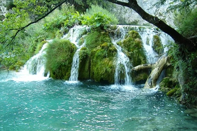 Beautiful Green Waterfalls Wallpapers