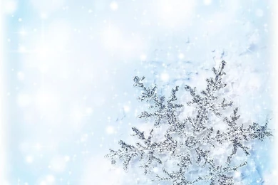Christmas Holiday Backgrounds Photograph By Anna Omelchenko