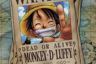 Monkey D. Luffy   One Piece Wallpapers   Anime Wallpapers