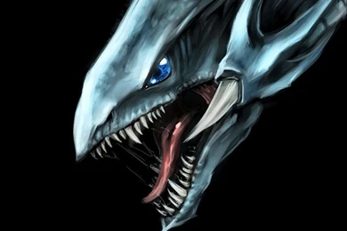 Blueeyeswhitedragon   DeviantArt