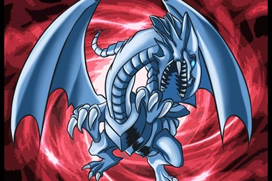 White Dragon 8 Cool Wallpapers   Hivewallpaper.com