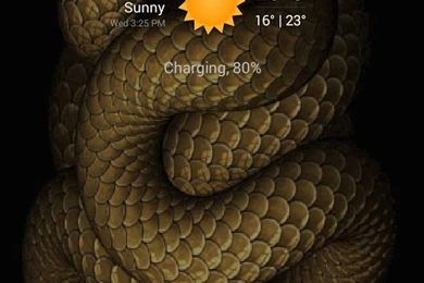 Download Real Moving Snake For Android, Real Moving Snake B.1.0.2 ...