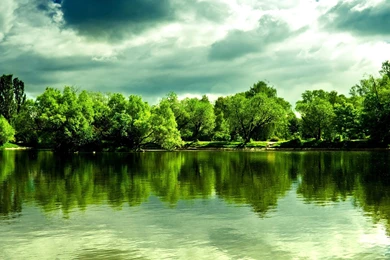 Wallpapers Green Forest Trees And Lake Hd Hq 2560x1440