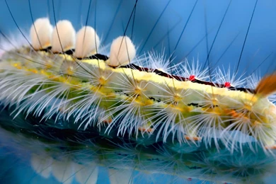 Hd Hq Wallpapers   662549