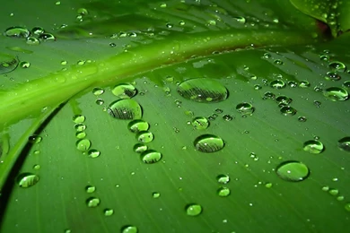 Beautiful Beach Hd Wallpapers (119)