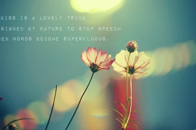 1500x1200px Cute Quotes Wallpapers HD