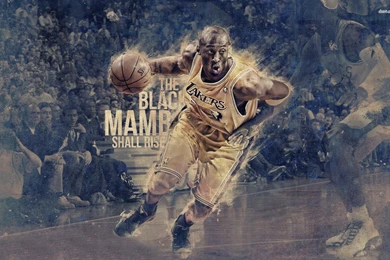 Kobe Bryant Sport Wallpapers Sport Sports Hd Free Wallpapers