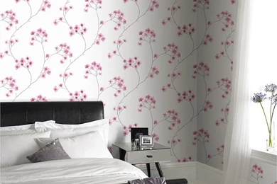 Innocence Collection