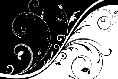 Wallpapers Black And White Designs   HD Wallpapers And Pictures