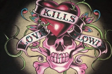 PictureTrail   Gallery