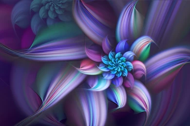 Blue Dahlia Flower Wallpapers 247463