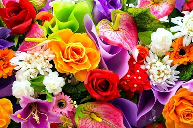 Colorful Bouquet Wallpapers   Flower Wallpapers
