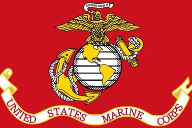 THE MARINE CORPS FLAG WALLPAPER   (