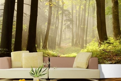 Custom Made Sunshine Forest Photo 3d Wallpapers 3d Wall Murals For ...